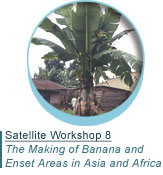 The Marking of Banana and Enset Areas